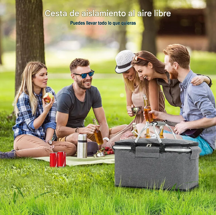 Cesta Cooler Refrigerador Térmico Camping Plegable Gris