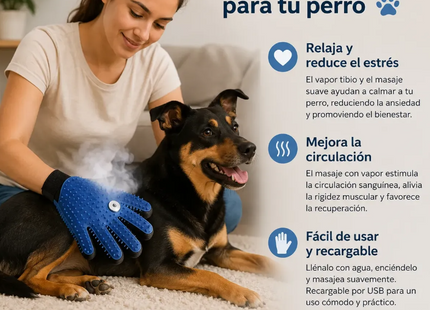 Guante Vaporizador 3 En 1 Masajeador Quita Pelo Recargable