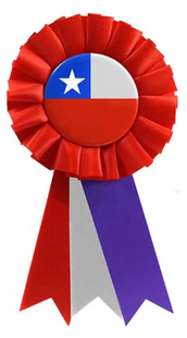 Escarapela Bandera Chilena Piocha Fechas Patrias Pack X12